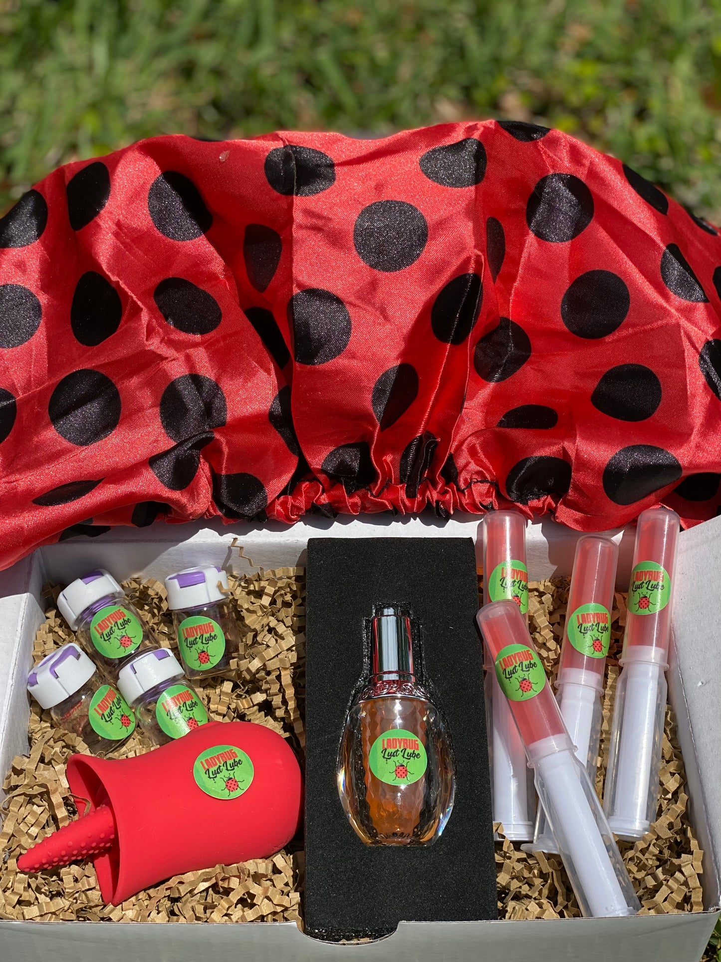 Ladybug Hygiene Healthcare LITTY KITTY "SCREAMER BOX" 🎁