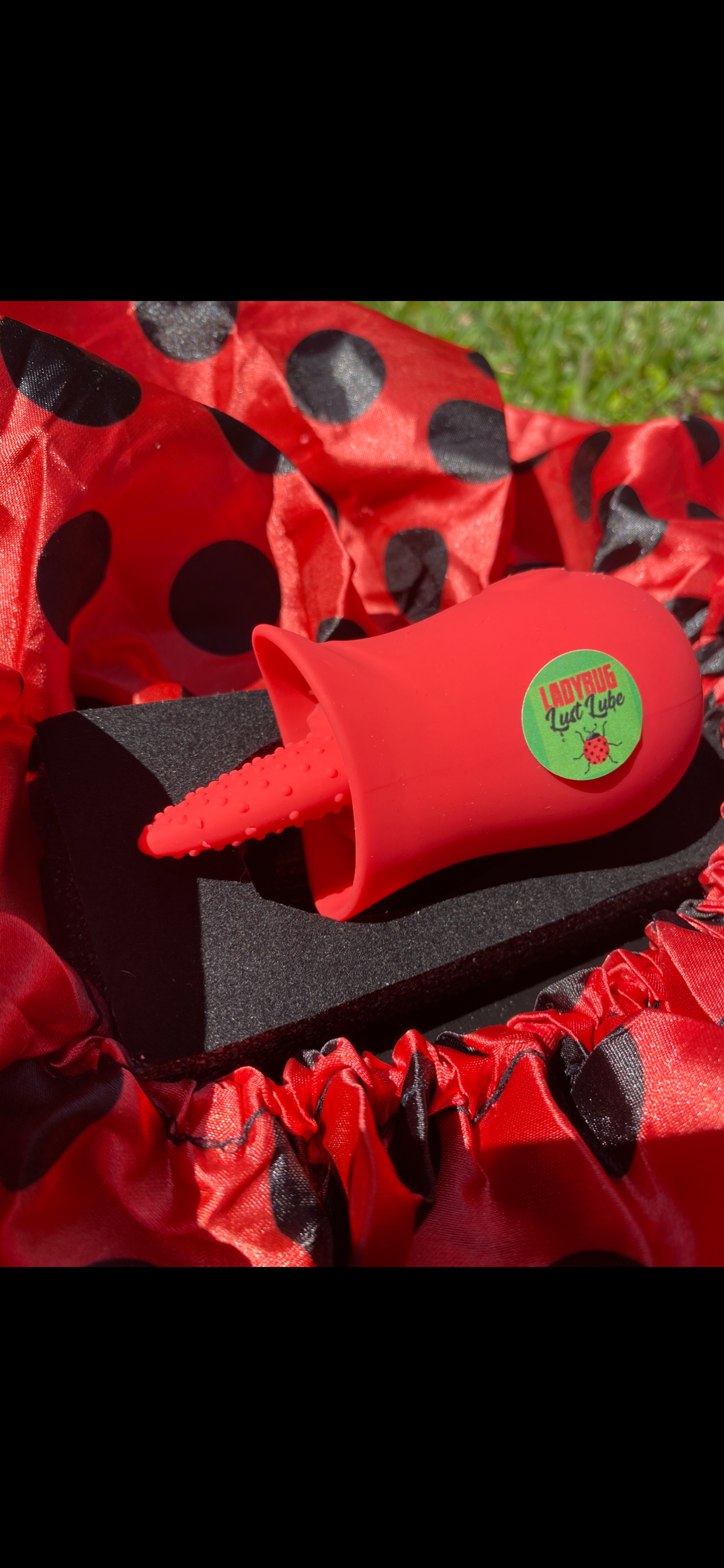 Ladybug LickMasterđź‘…